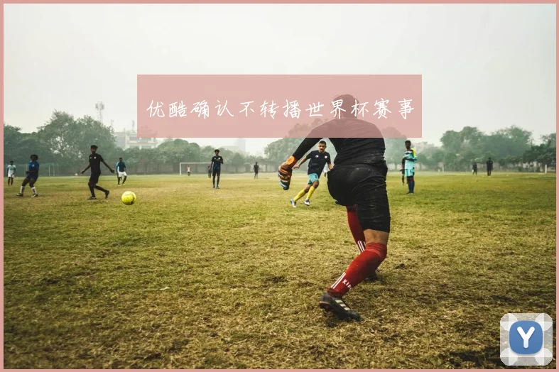 优酷确认不转播世界杯赛事