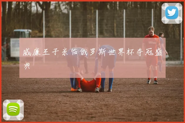 威廉王子亲临俄罗斯世界杯夺冠盛典